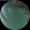 ./images/calvert/underwater/20260620/underwater20260620_045501M.jpg