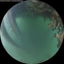 ./images/calvert/underwater/20260620/underwater20260620_050501M.jpg