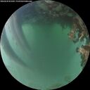 ./images/calvert/underwater/20260620/underwater20260620_051001M.jpg