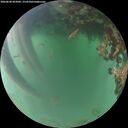 ./images/calvert/underwater/20260620/underwater20260620_052002M.jpg