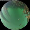 ./images/calvert/underwater/20260620/underwater20260620_052501M.jpg