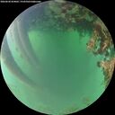 ./images/calvert/underwater/20260620/underwater20260620_054001M.jpg