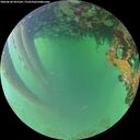 ./images/calvert/underwater/20260620/underwater20260620_055501M.jpg