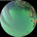 ./images/calvert/underwater/20260620/underwater20260620_060001M.jpg