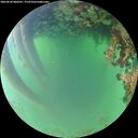 ./images/calvert/underwater/20260620/underwater20260620_060501M.jpg