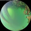 ./images/calvert/underwater/20260620/underwater20260620_061501M.jpg