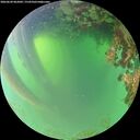 ./images/calvert/underwater/20260620/underwater20260620_062001M.jpg