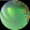 ./images/calvert/underwater/20260620/underwater20260620_062501M.jpg