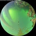 ./images/calvert/underwater/20260620/underwater20260620_063002M.jpg