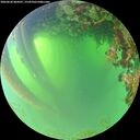 ./images/calvert/underwater/20260620/underwater20260620_064501M.jpg