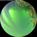 ./images/calvert/underwater/20260620/underwater20260620_065501M.jpg