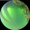./images/calvert/underwater/20260620/underwater20260620_070001M.jpg