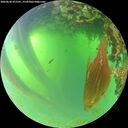 ./images/calvert/underwater/20260620/underwater20260620_072501M.jpg