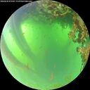 ./images/calvert/underwater/20260620/underwater20260620_073501M.jpg