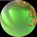 ./images/calvert/underwater/20260620/underwater20260620_075001M.jpg