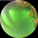 ./images/calvert/underwater/20260620/underwater20260620_075501M.jpg
