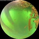 ./images/calvert/underwater/20260620/underwater20260620_083002M.jpg