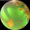 ./images/calvert/underwater/20260620/underwater20260620_084002M.jpg