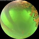 ./images/calvert/underwater/20260620/underwater20260620_084501M.jpg