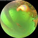 ./images/calvert/underwater/20260620/underwater20260620_085001M.jpg