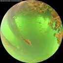 ./images/calvert/underwater/20260620/underwater20260620_091002M.jpg