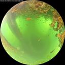 ./images/calvert/underwater/20260620/underwater20260620_092002M.jpg