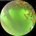 ./images/calvert/underwater/20260620/underwater20260620_092501M.jpg