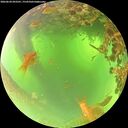 ./images/calvert/underwater/20260620/underwater20260620_093501M.jpg