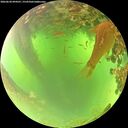 ./images/calvert/underwater/20260620/underwater20260620_094501M.jpg