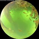 ./images/calvert/underwater/20260620/underwater20260620_095001M.jpg