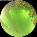 ./images/calvert/underwater/20260620/underwater20260620_095501M.jpg