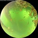 ./images/calvert/underwater/20260620/underwater20260620_100002M.jpg
