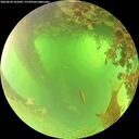 ./images/calvert/underwater/20260620/underwater20260620_101001M.jpg