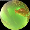 ./images/calvert/underwater/20260620/underwater20260620_101501M.jpg