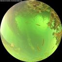./images/calvert/underwater/20260620/underwater20260620_102001M.jpg