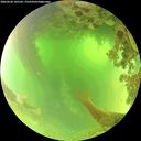 ./images/calvert/underwater/20260620/underwater20260620_105502M.jpg