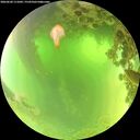 ./images/calvert/underwater/20260620/underwater20260620_111002M.jpg