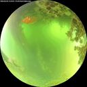 ./images/calvert/underwater/20260620/underwater20260620_112501M.jpg