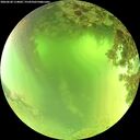 ./images/calvert/underwater/20260620/underwater20260620_114001M.jpg