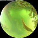 ./images/calvert/underwater/20260620/underwater20260620_114502M.jpg