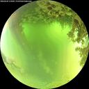 ./images/calvert/underwater/20260620/underwater20260620_115002M.jpg