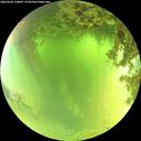./images/calvert/underwater/20260620/underwater20260620_120002M.jpg