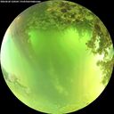 ./images/calvert/underwater/20260620/underwater20260620_120501M.jpg