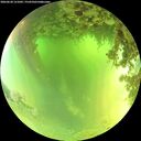 ./images/calvert/underwater/20260620/underwater20260620_121001M.jpg