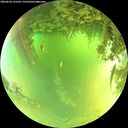 ./images/calvert/underwater/20260620/underwater20260620_121501M.jpg