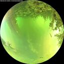 ./images/calvert/underwater/20260620/underwater20260620_122001M.jpg