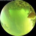 ./images/calvert/underwater/20260620/underwater20260620_123001M.jpg