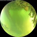 ./images/calvert/underwater/20260620/underwater20260620_123501M.jpg