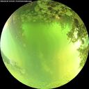 ./images/calvert/underwater/20260620/underwater20260620_125501M.jpg