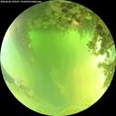 ./images/calvert/underwater/20260620/underwater20260620_130502M.jpg